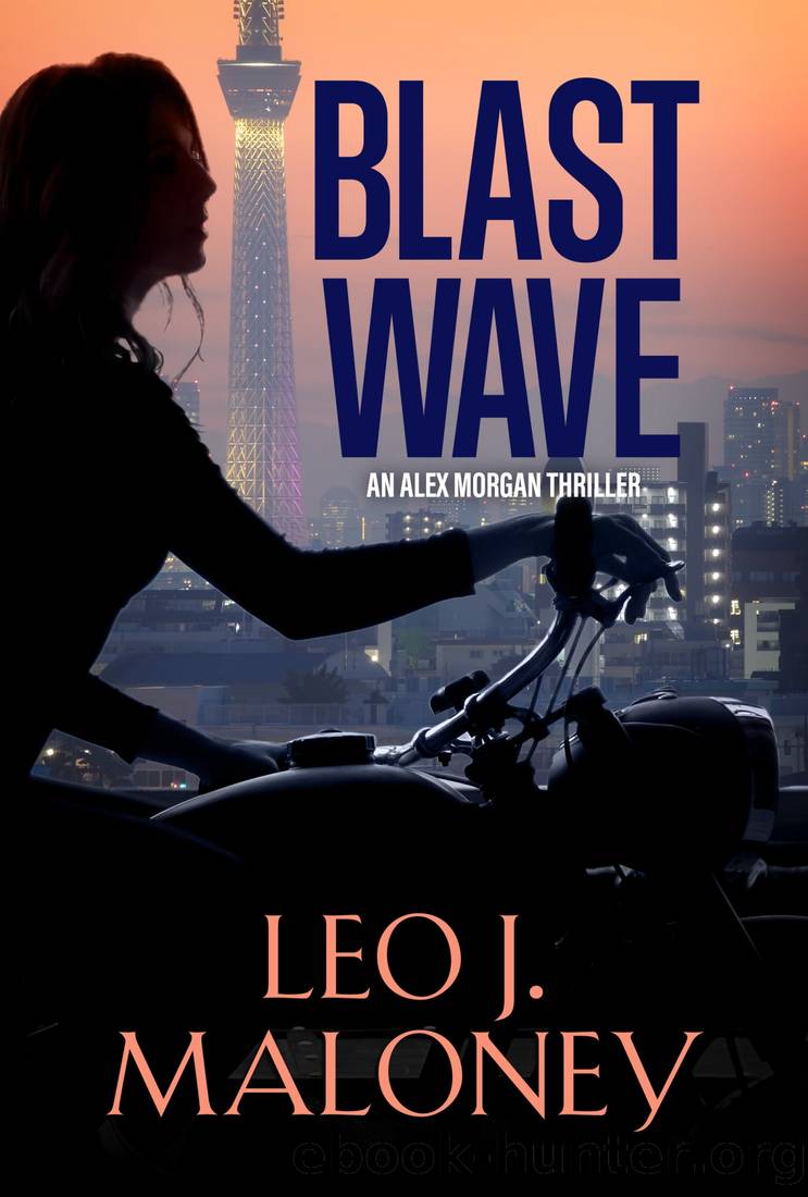 Blast Wave by Leo J. Maloney