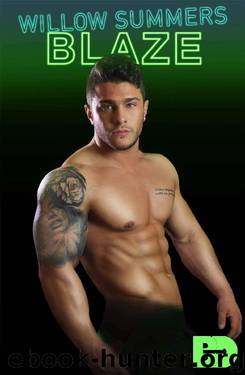 Blaze (Big D Escort Service Book 2) by Willow Summers
