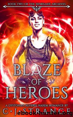 Blaze of Heroes by C.J. Strange