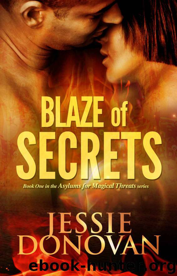 Blaze of Secrets (Asylums for Magical Threats) by Donovan Jessie