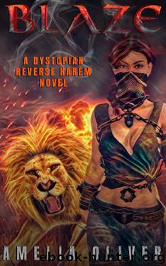Blaze: A Dystopian, Reverse Harem, Paranormal Romance Novel by Amelia Oliver