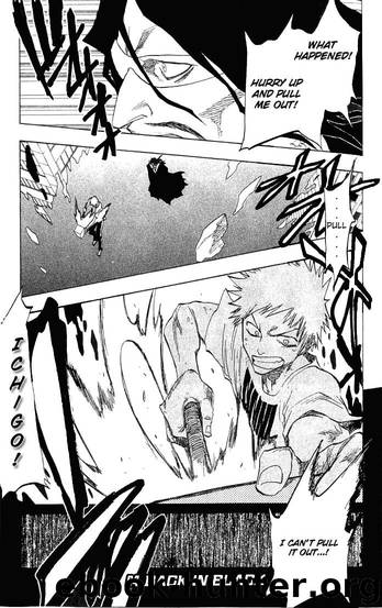 Bleach 064 by Tite Kubo