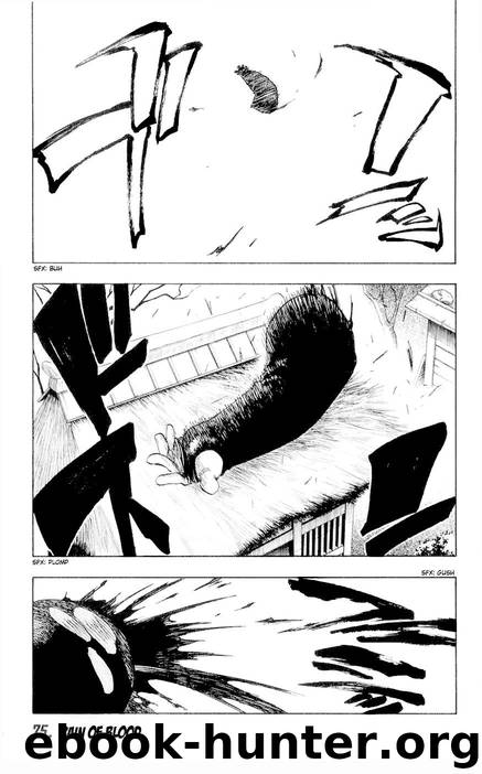 Bleach 075 by Tite Kubo