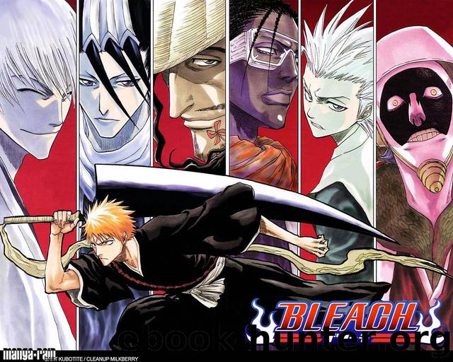 Bleach 124 by Tite Kubo