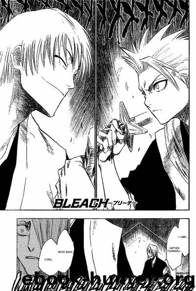 Bleach 132 by Tite Kubo