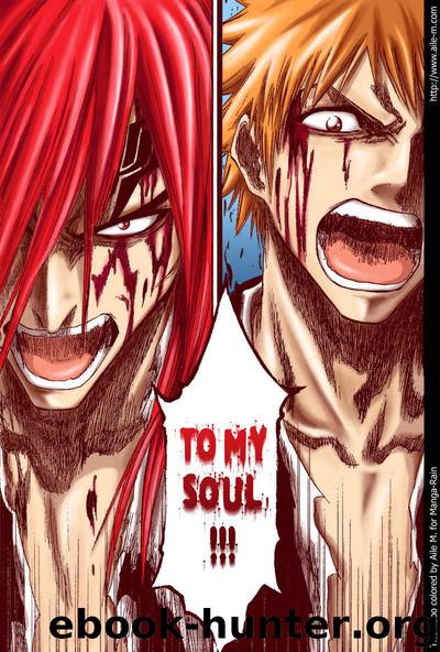 Bleach 144 by Tite Kubo