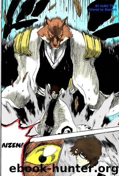 Bleach 177 by Tite Kubo