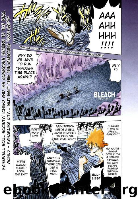 Bleach 182 by Tite Kubo