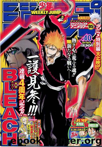 Bleach 193 by Tite Kubo