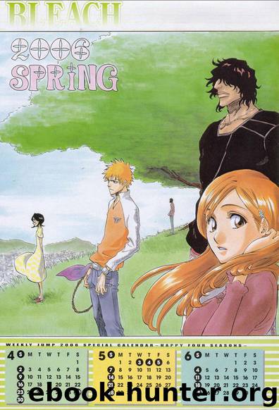 Bleach 209 by Tite Kubo