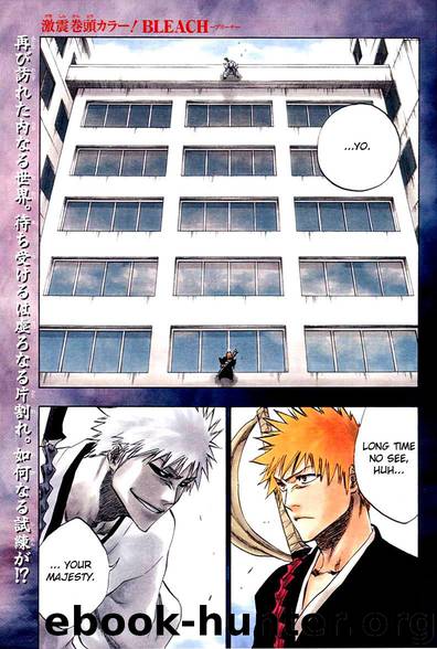 Bleach 218 by Tite Kubo