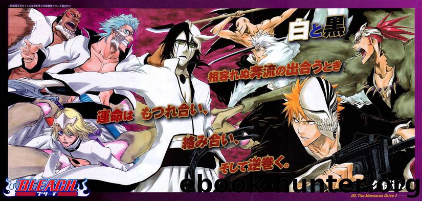 Bleach 232 by Tite Kubo