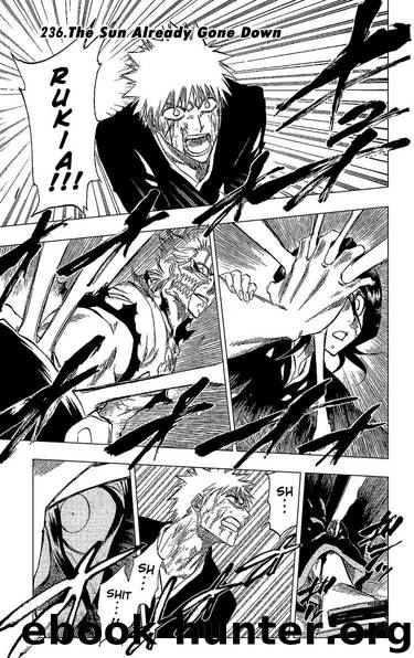 Bleach 236 by Tite Kubo