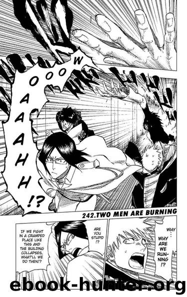 Bleach 242 by Tite Kubo