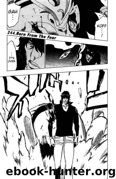 Bleach 244 by Tite Kubo