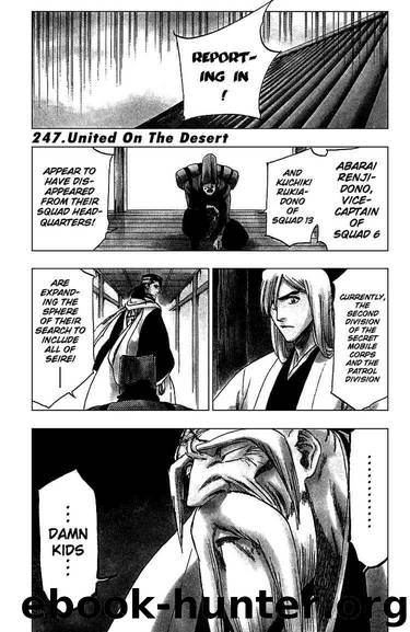 Bleach 247 by Tite Kubo