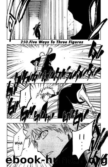 Bleach 250 by Tite Kubo