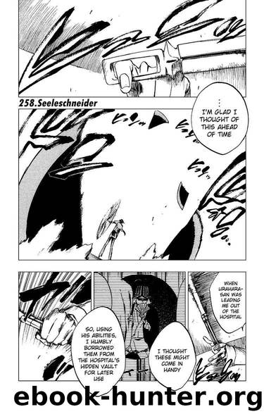 Bleach 258 by Tite Kubo