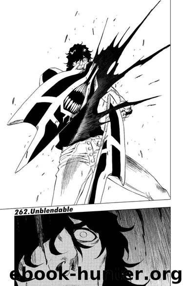 Bleach 262 by Tite Kubo