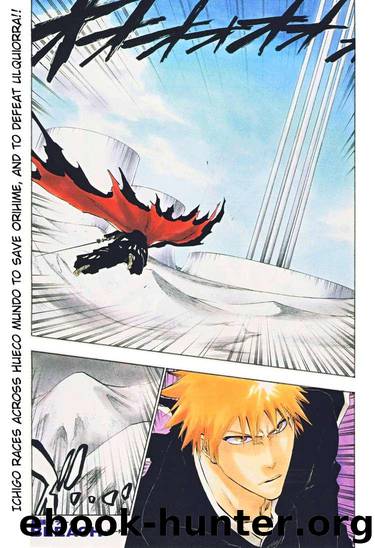 Bleach 317 by Tite Kubo