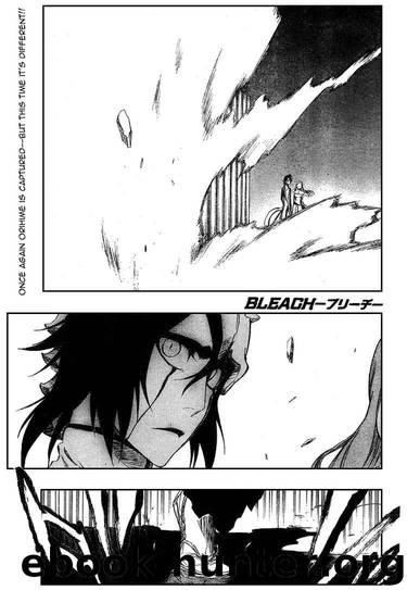 Bleach 318 by Tite Kubo