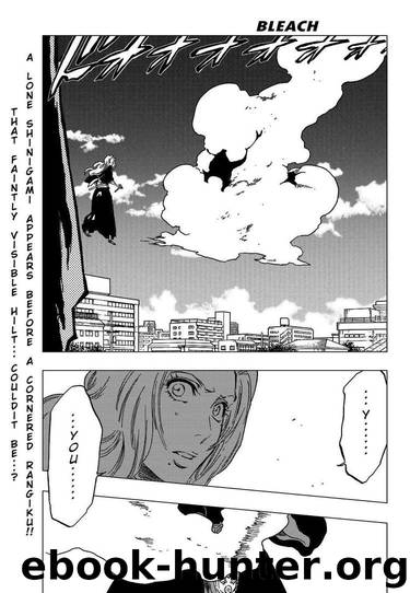 Bleach 334 by Tite Kubo
