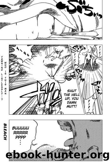 Bleach 342 by Tite Kubo