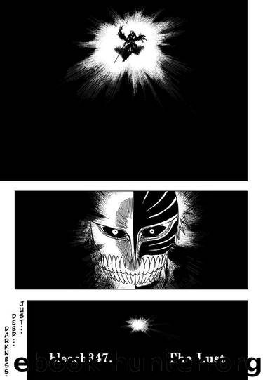 Bleach 347 by Tite Kubo