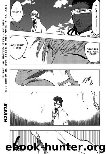 Bleach 365 by Tite Kubo