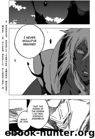 Bleach 376 by Tite Kubo