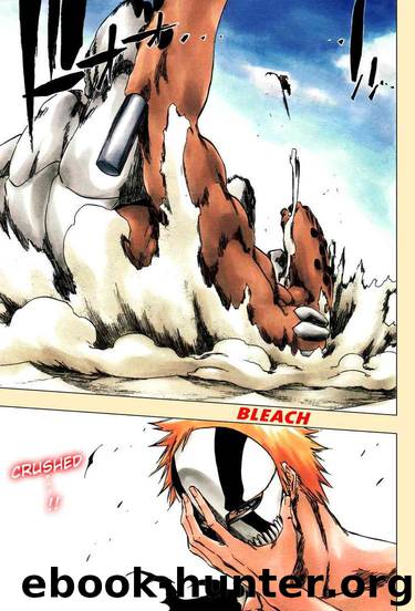 Bleach 379 by Tite Kubo