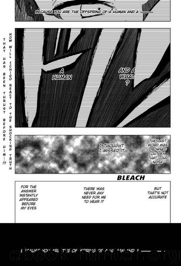 Bleach 398 by Tite Kubo