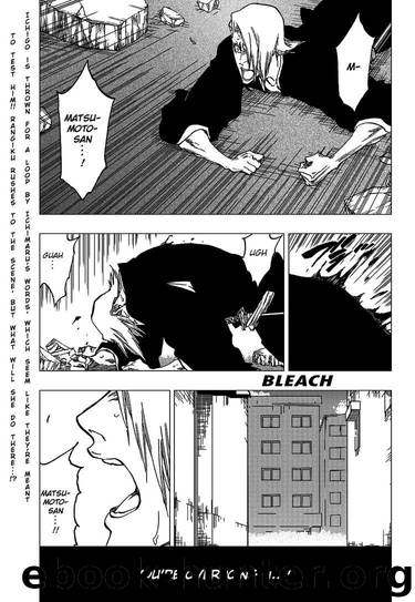 Bleach 405 by Tite Kubo