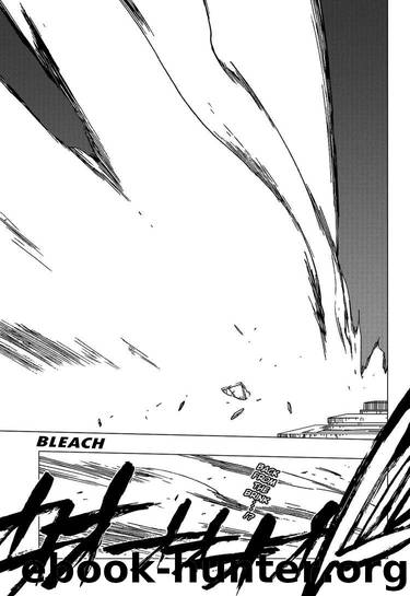 Bleach 406 by Tite Kubo