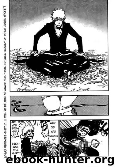Bleach 408 by Tite Kubo