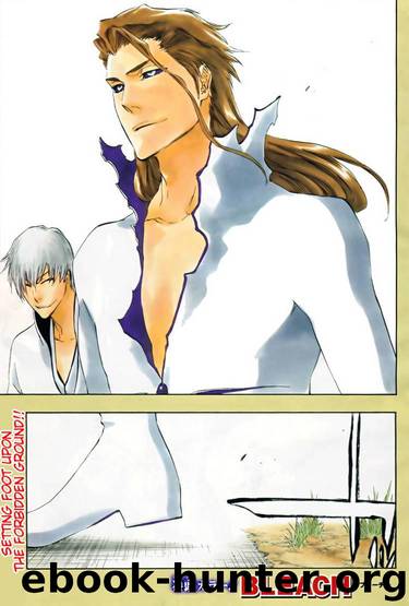 Bleach 409 by Tite Kubo