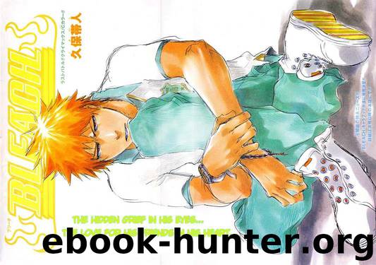 Bleach 411 by Tite Kubo