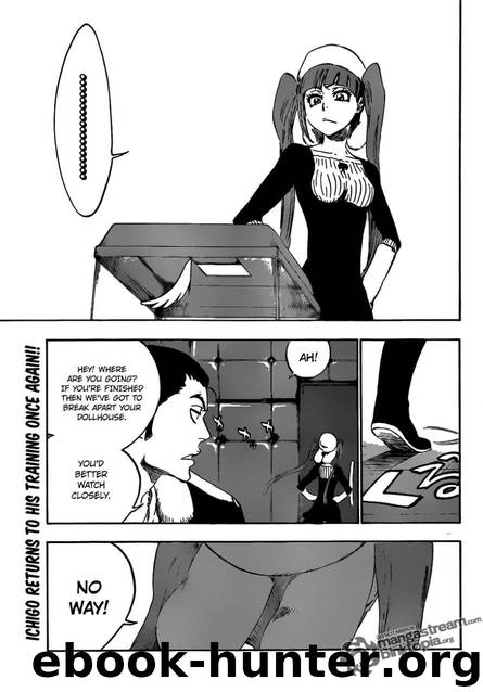 Bleach 442 by Tite Kubo