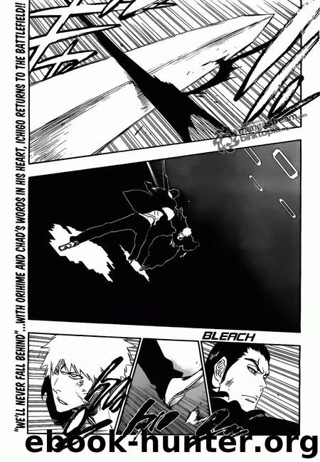 Bleach 450 by Tite Kubo