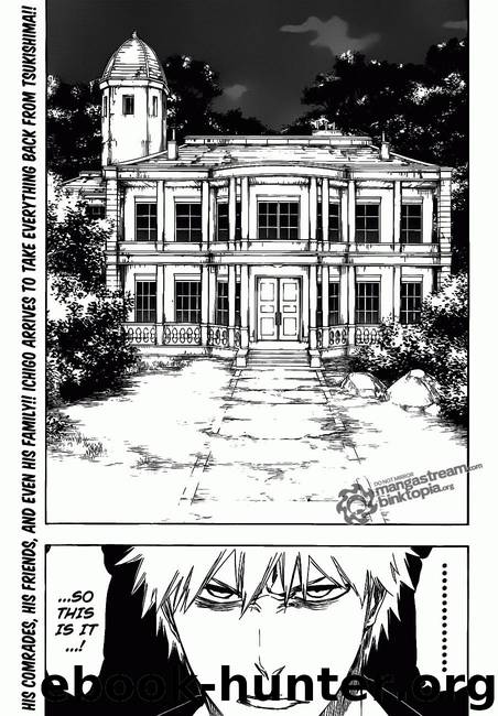 Bleach 455 by Tite Kubo
