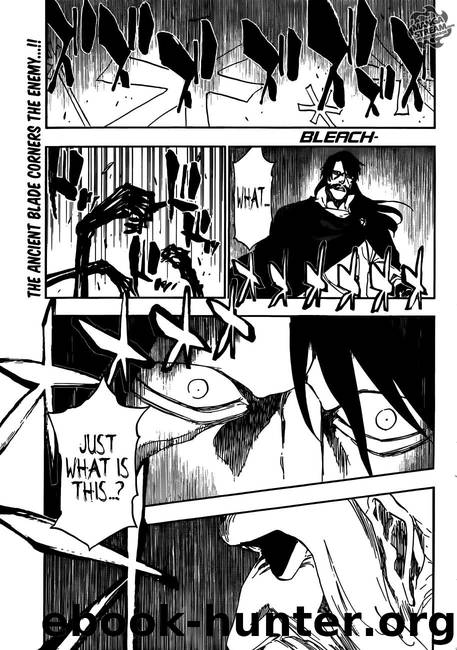 Bleach 509 by Tite Kubo
