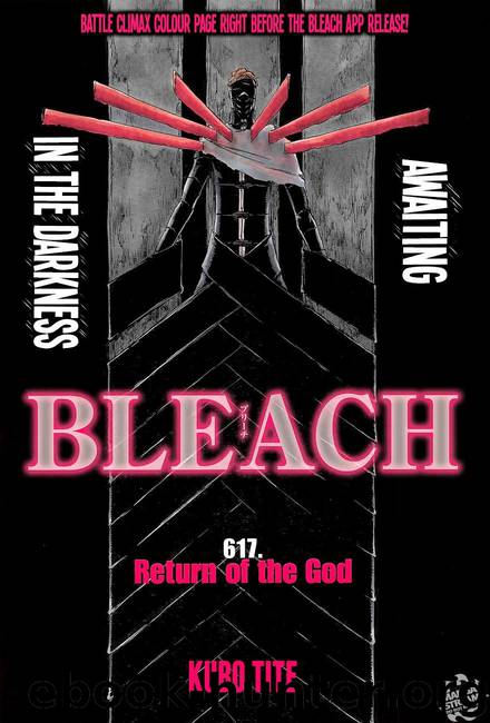 Bleach 617 by Tite Kubo