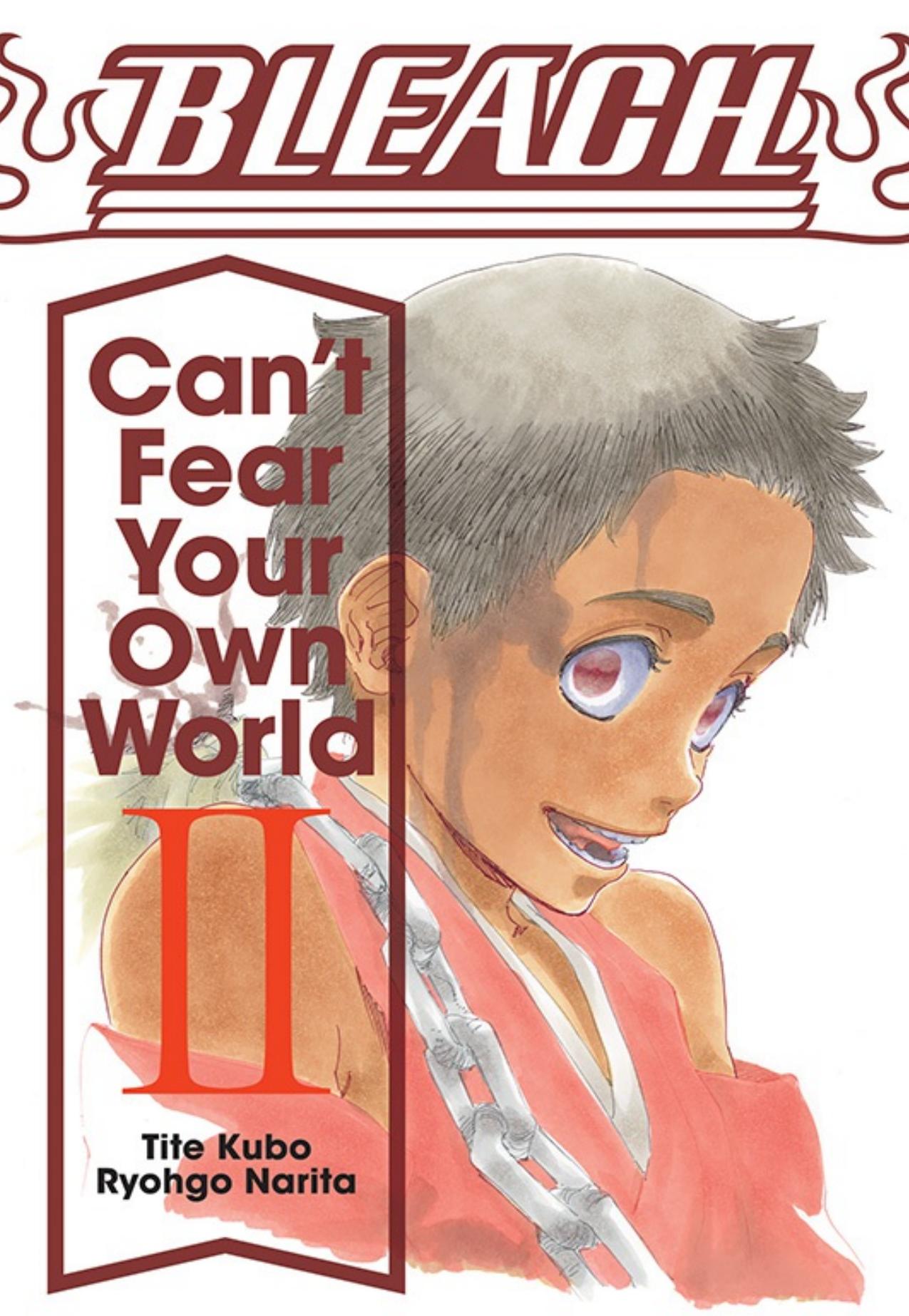 Bleach: Canât Fear Your Own World, Vol. 2 by Tite Kubo Ryohgo Narita