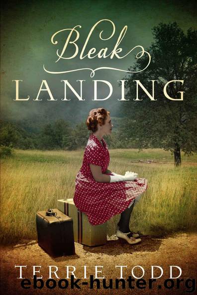 Bleak Landing by Todd Terrie