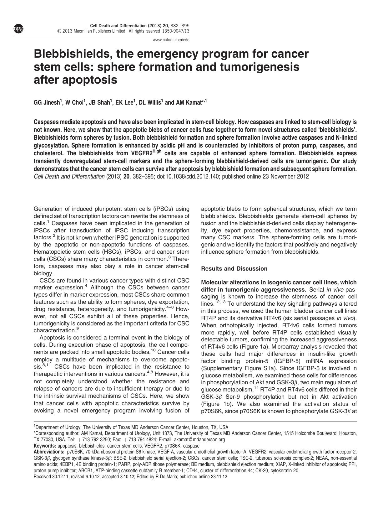 Blebbishields, the emergency program for cancer stem cells: sphere formation and tumorigenesis after apoptosis by G G Jinesh & W Choi & J B Shah & E K Lee & D L Willis & A M Kamat