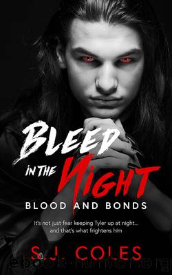Bleed in the Night by S. J. Coles