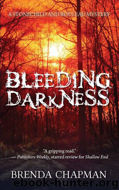 Bleeding Darkness by Brenda Chapman