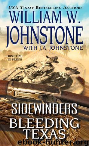 Bleeding Texas by William W. Johnstone