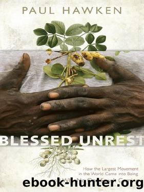 Blessed Unrest by Paul Hawken