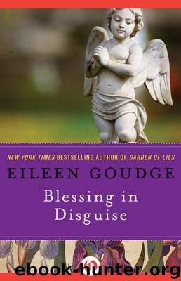 Blessing in Disguise by Eileen Goudge